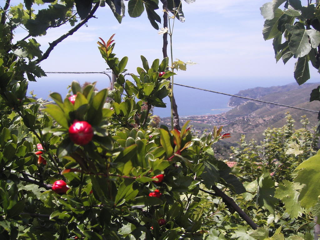 Bed and Breakfast Cilento Сан-Мауро-Чіленто Екстер'єр фото